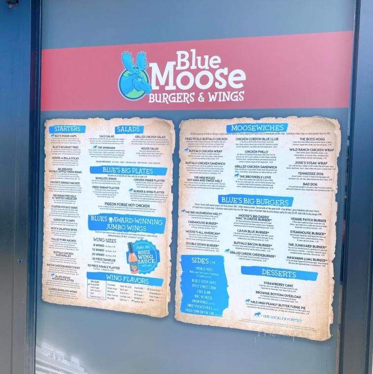 Blue Moose - Pigeon Forge, TN